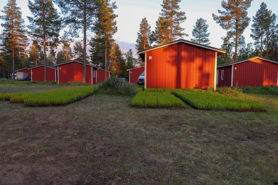 Pajala Cottages Route 99 Exterior foto